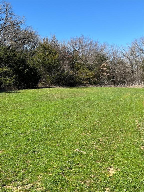 Tbd County Rd 108 Property Photo 11
