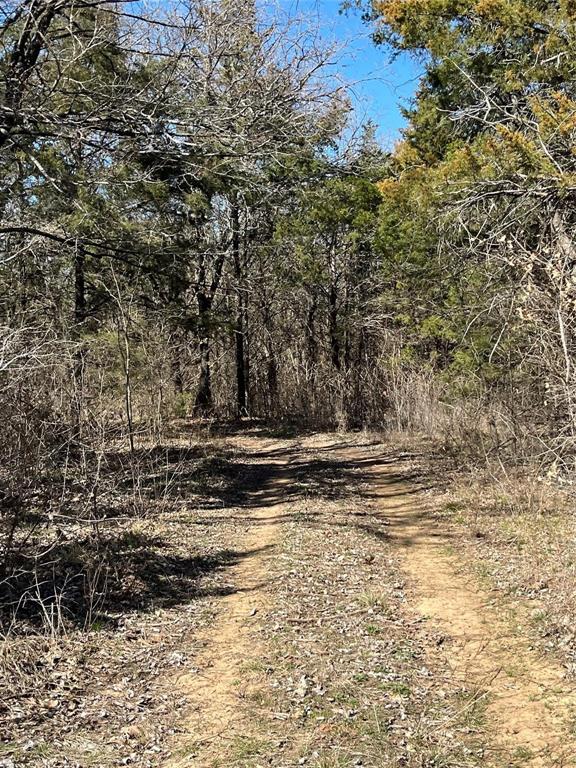 Tbd County Rd 108 Property Photo 13