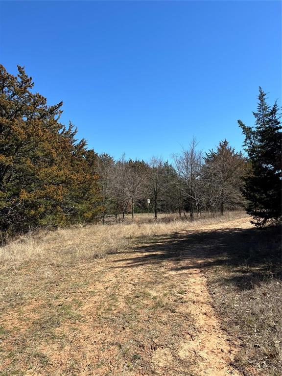 Tbd County Rd 108 Property Photo 14