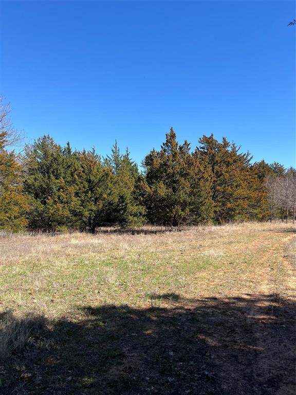 Tbd County Rd 108 Property Photo 15