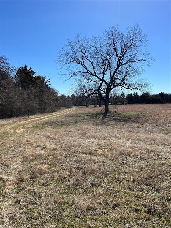 Tbd County Rd 108 Property Photo 17