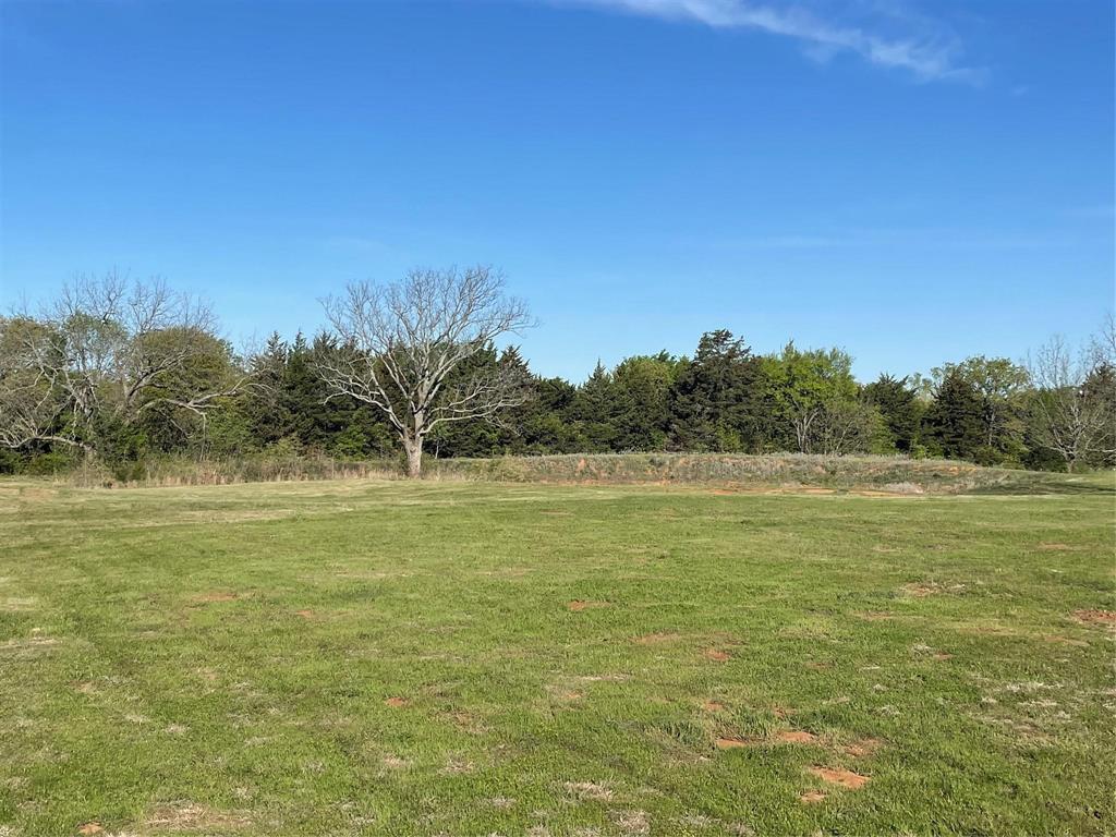 Tbd County Rd 108 Property Photo 20