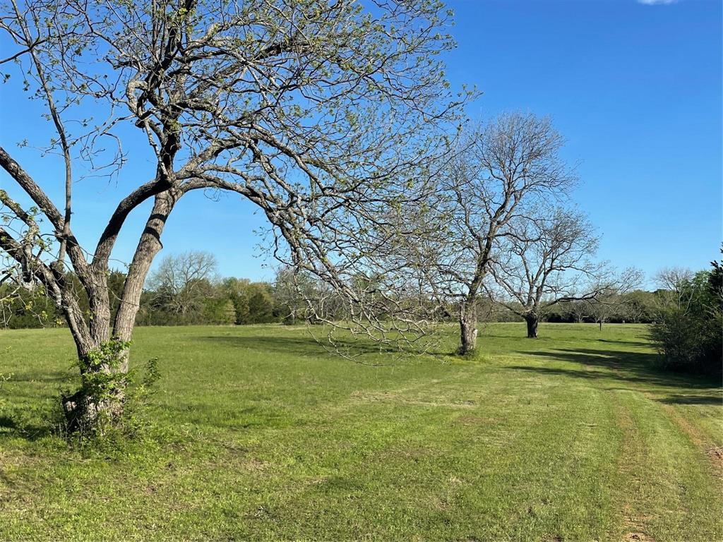 Tbd County Rd 108 Property Photo 23