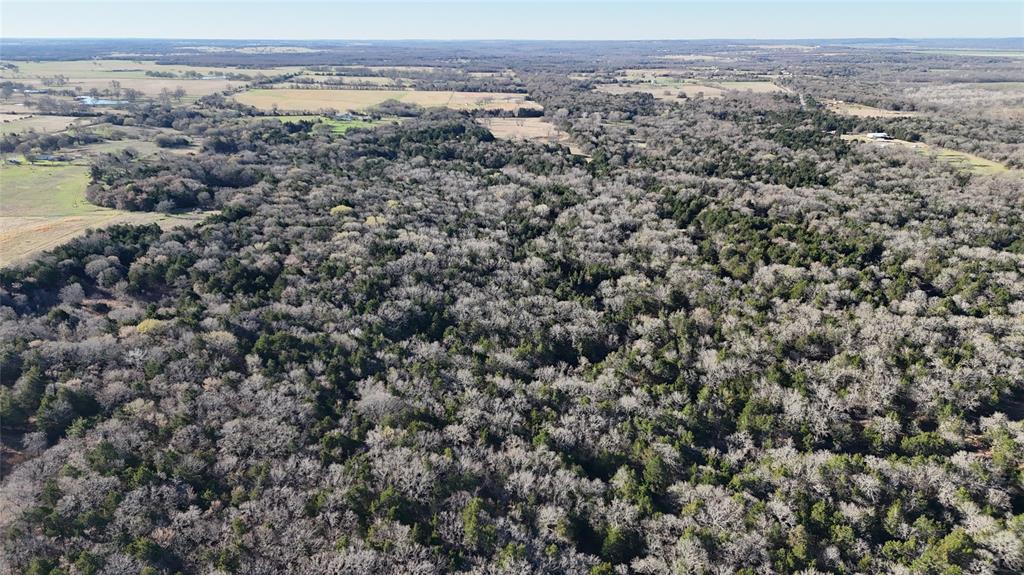 Tbd County Rd 108 Property Photo 26