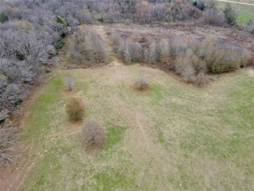 30 Acre County Road 2425 Property Photo 6