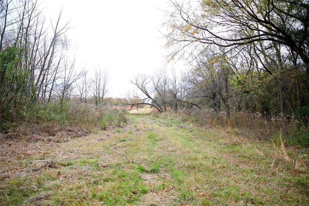 30 Acre County Road 2425 Property Photo 8