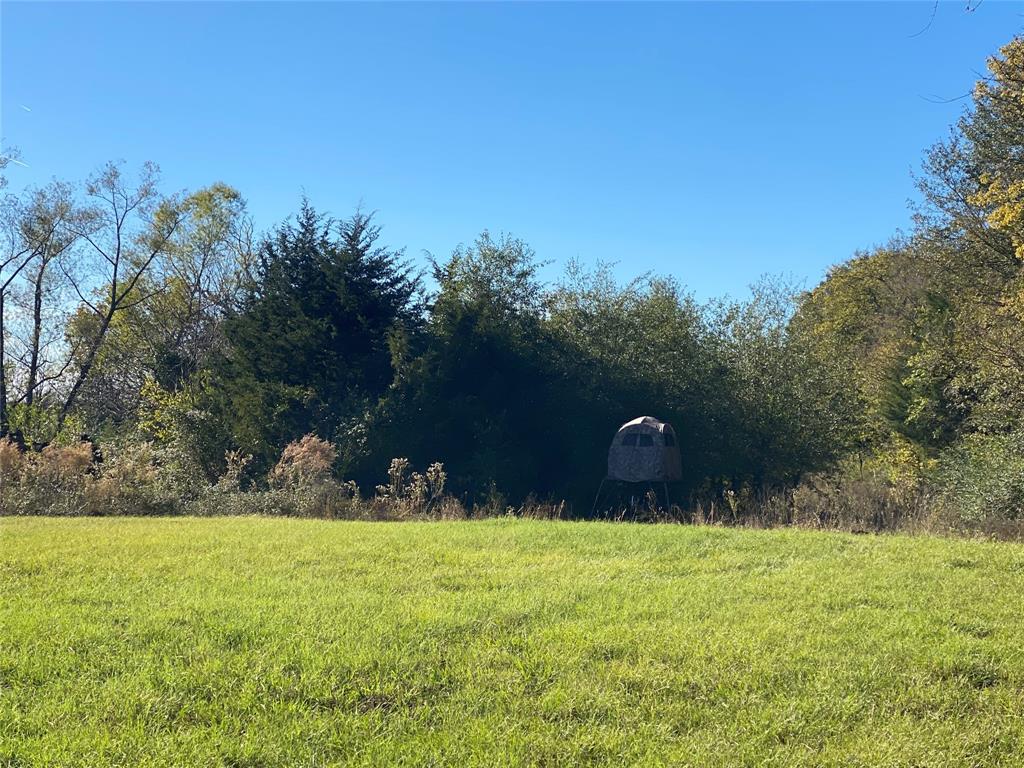 30 Acre County Road 2425 Property Photo 9