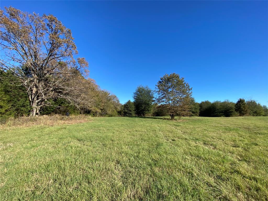 30 Acre County Road 2425 Property Photo 10