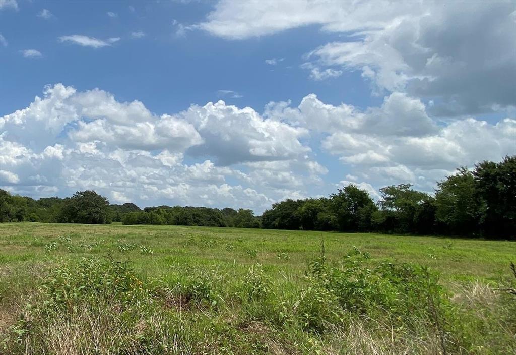 30 Acre County Road 2425 Property Photo 11