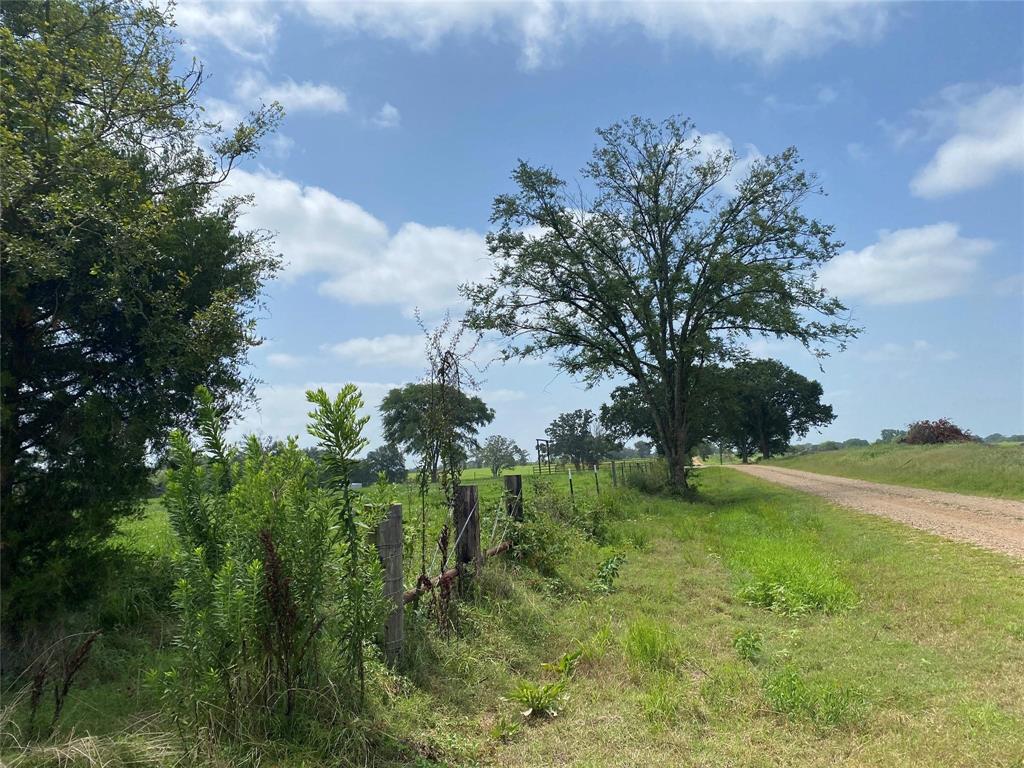 30 Acre County Road 2425 Property Photo 13