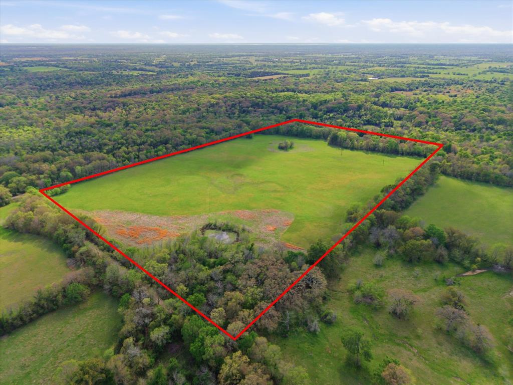 Tbd County Road 1151 Property Photo 2