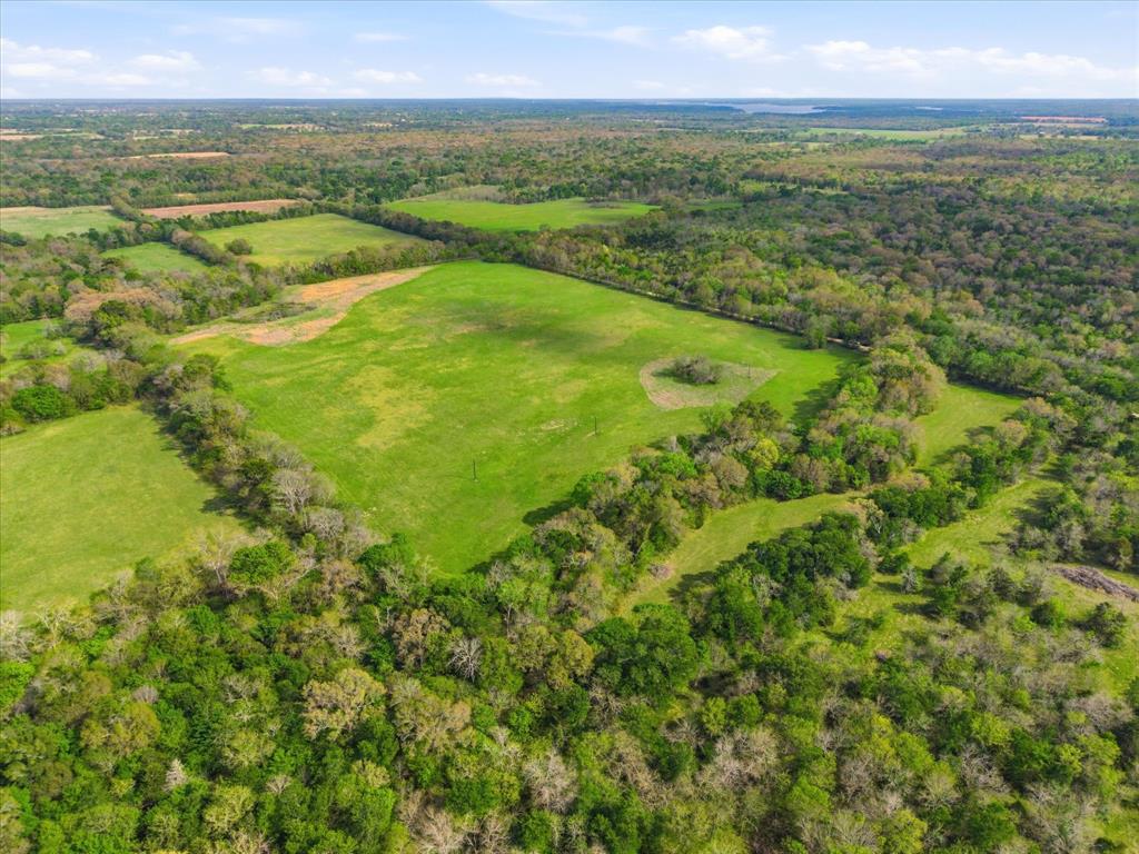 Tbd County Road 1151 Property Photo 3
