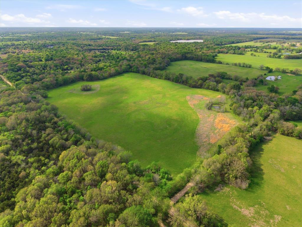 Tbd County Road 1151 Property Photo 4