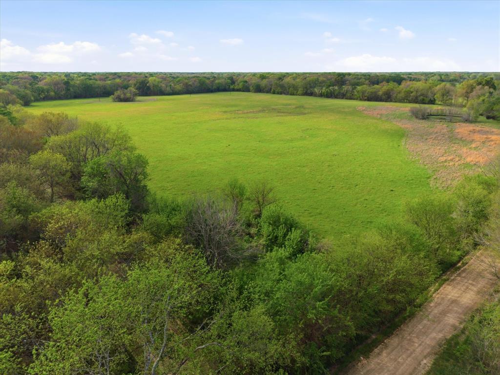 Tbd County Road 1151 Property Photo 5