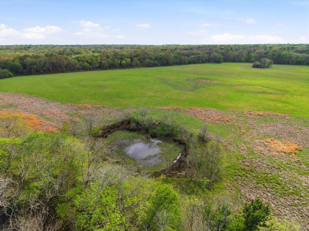 Tbd County Road 1151 Property Photo 6