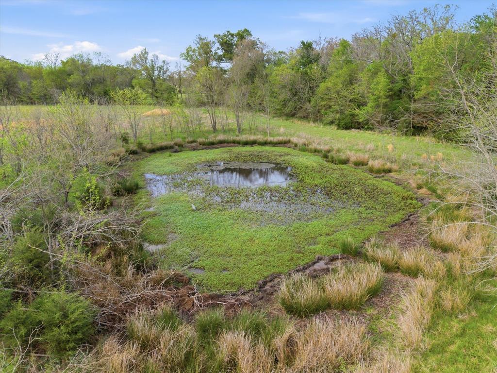 Tbd County Road 1151 Property Photo 7