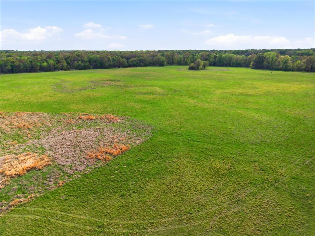 Tbd County Road 1151 Property Photo 8