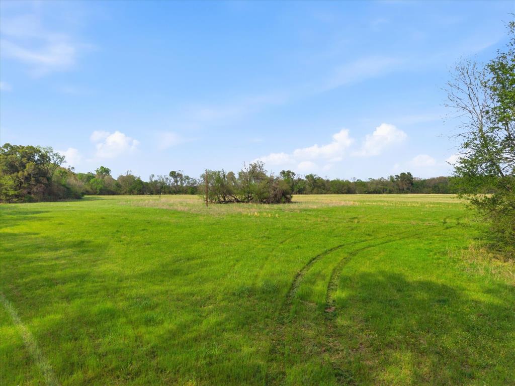 Tbd County Road 1151 Property Photo 10