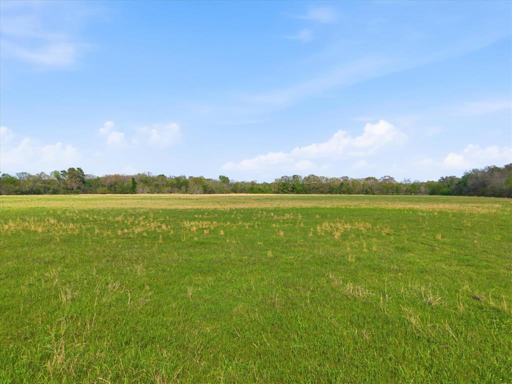 Tbd County Road 1151 Property Photo 11
