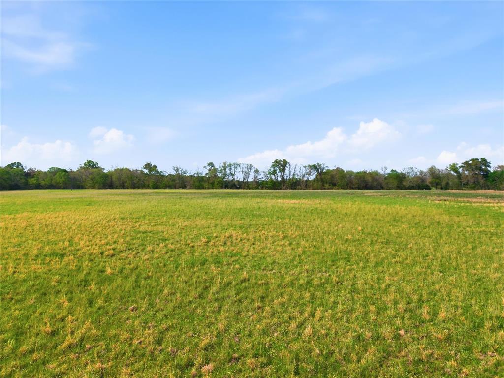 Tbd County Road 1151 Property Photo 12