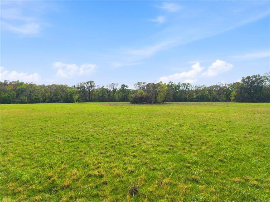 Tbd County Road 1151 Property Photo 13