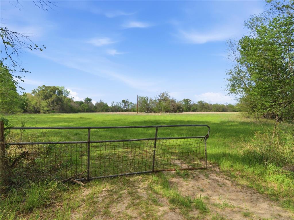 Tbd County Road 1151 Property Photo 14