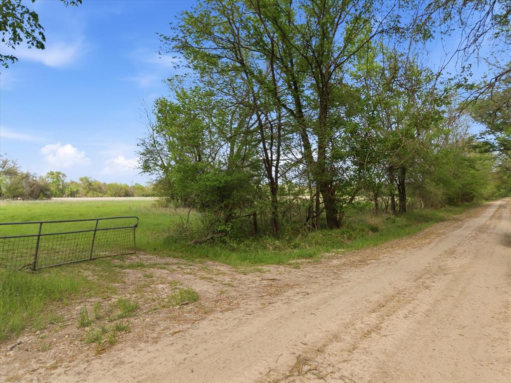 Tbd County Road 1151 Property Photo 15