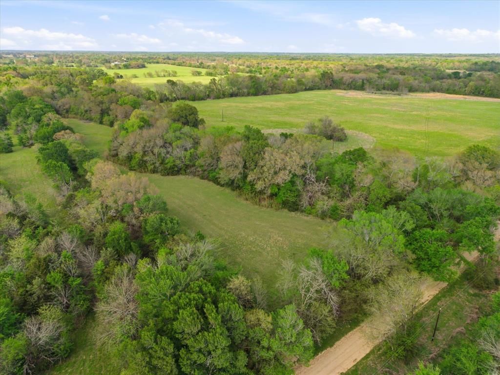 Tbd County Road 1151 Property Photo 16