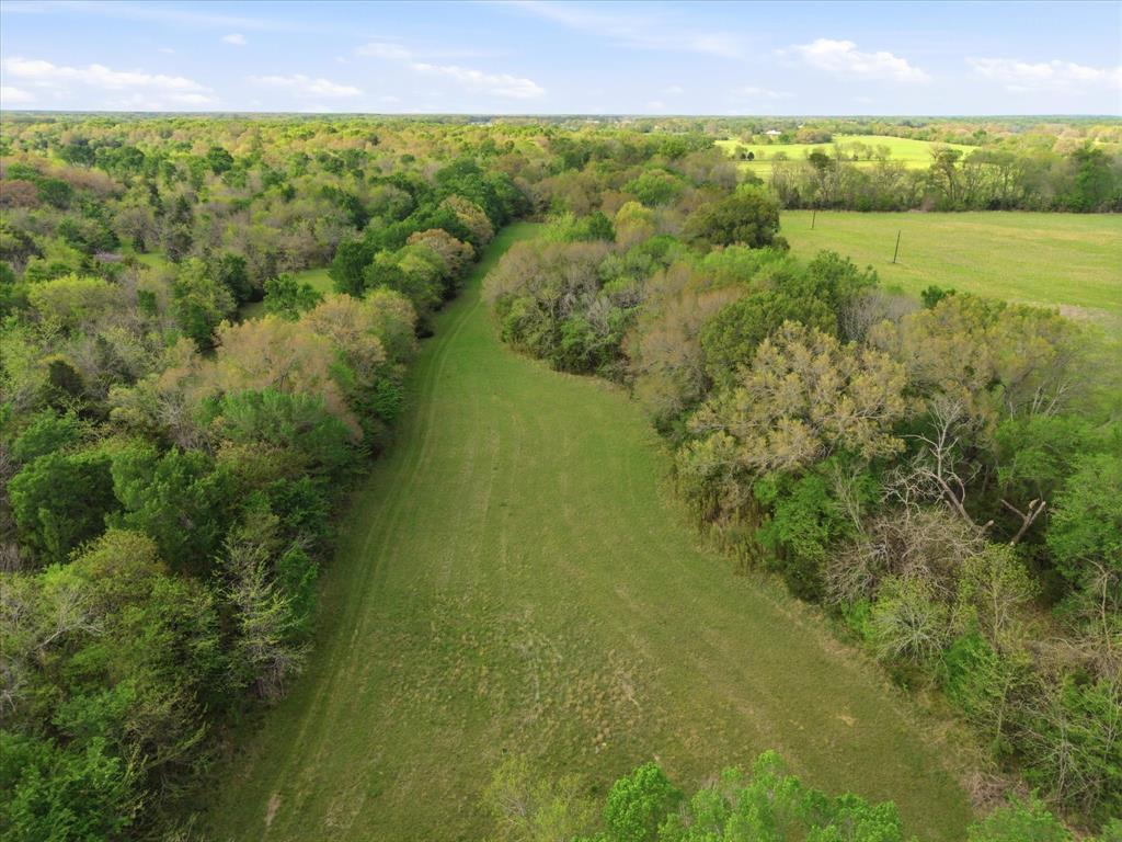 Tbd County Road 1151 Property Photo 17