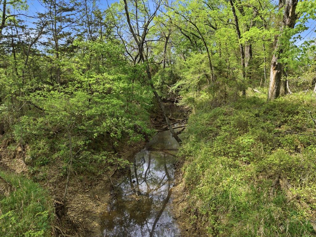 Tbd County Road 1151 Property Photo 18