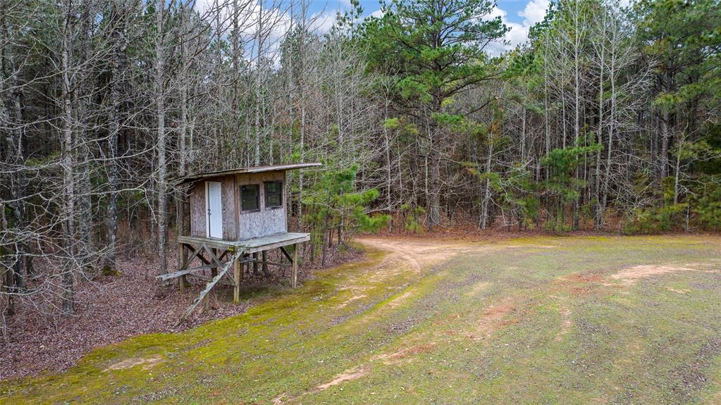 2964 Fm 2120 Property Photo 7
