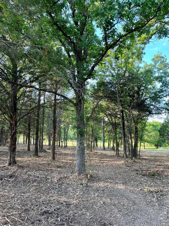 601 Us Highway 175 Property Photo 3