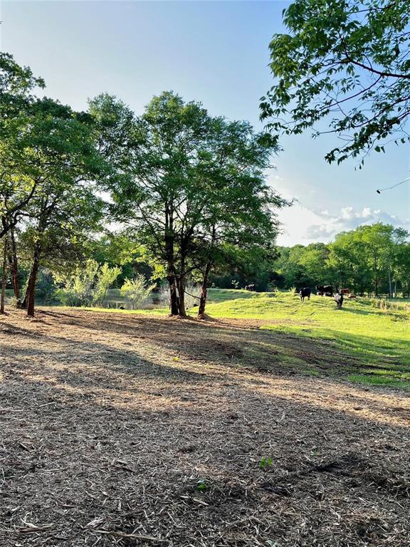 601 Us Highway 175 Property Photo 5