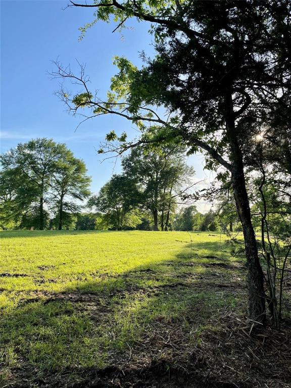 601 Us Highway 175 Property Photo 7