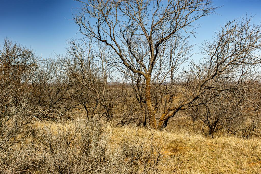 Tbd N Westover Road Property Photo 27