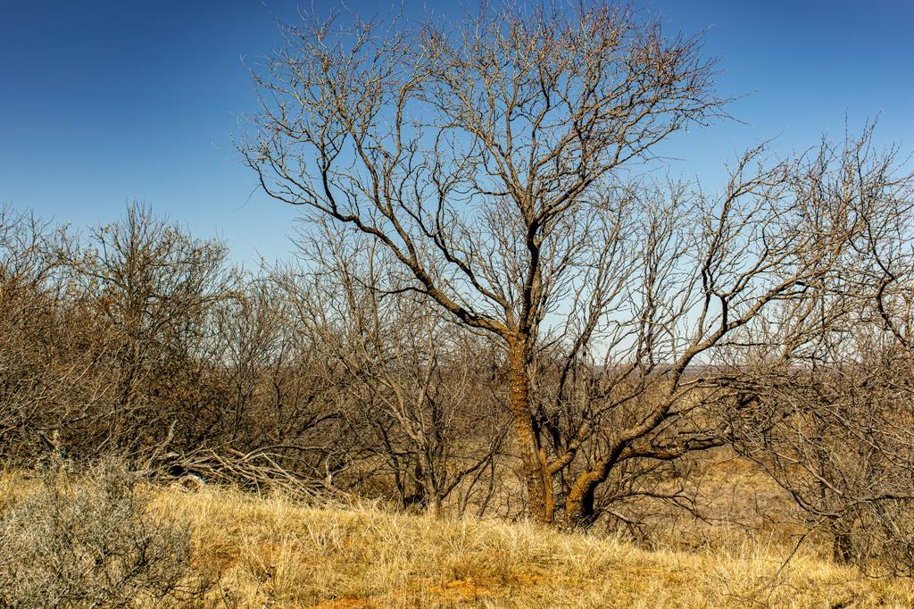 Tbd N Westover Road Property Photo 31