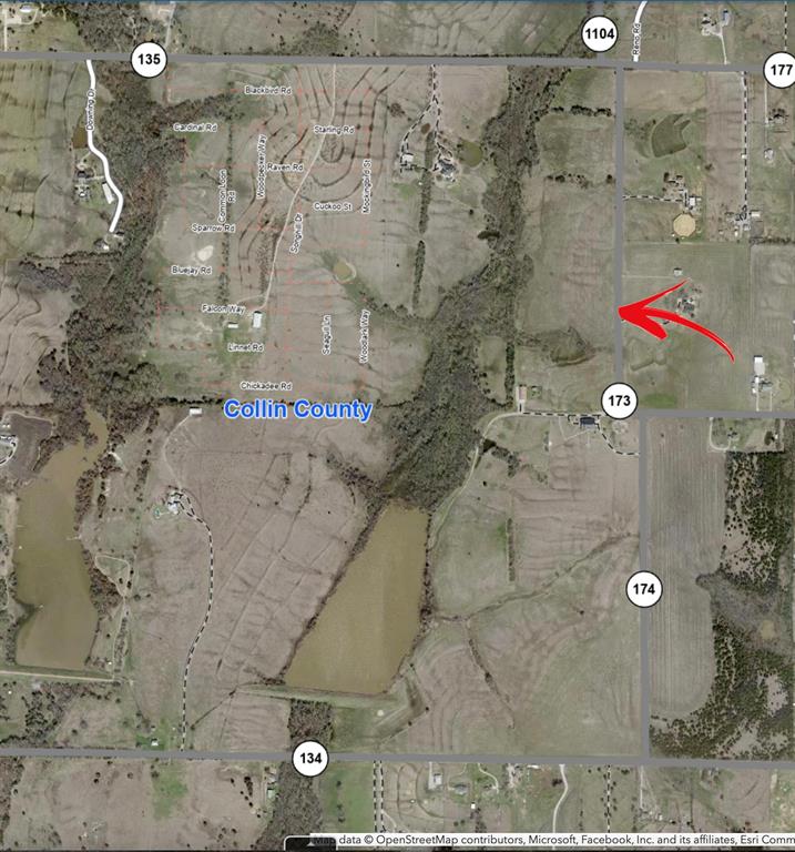 Tbd3 County Road 173 Property Photo 2
