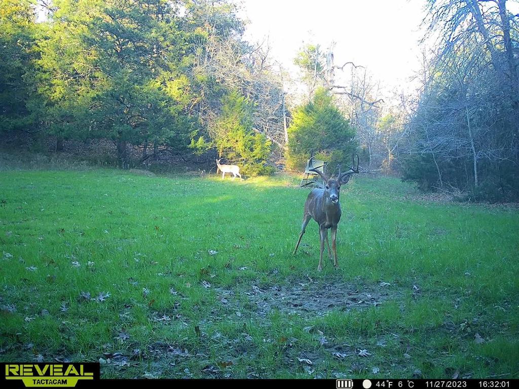 240 Magnolia Property Photo 2