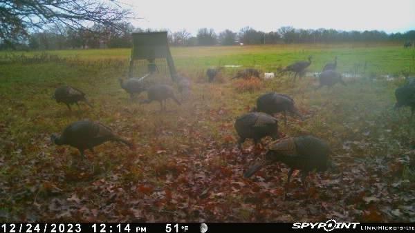 240 Magnolia Property Photo 5