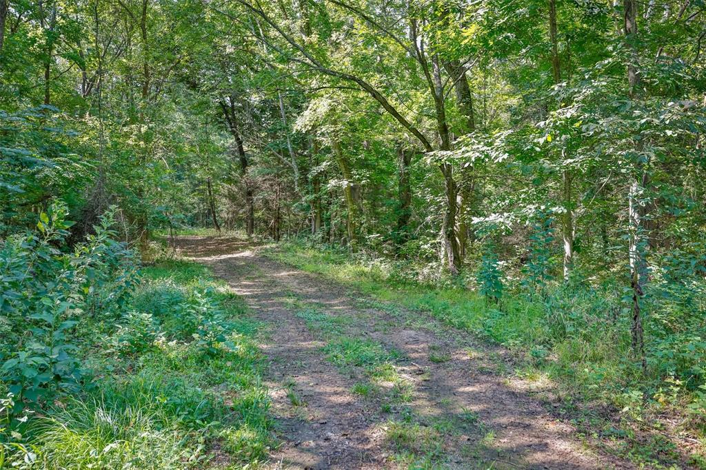 240 Magnolia Property Photo 6