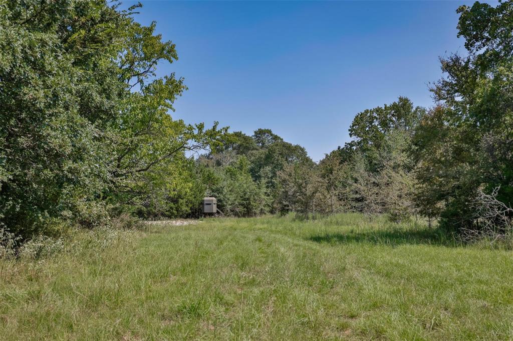 240 Magnolia Property Photo 8