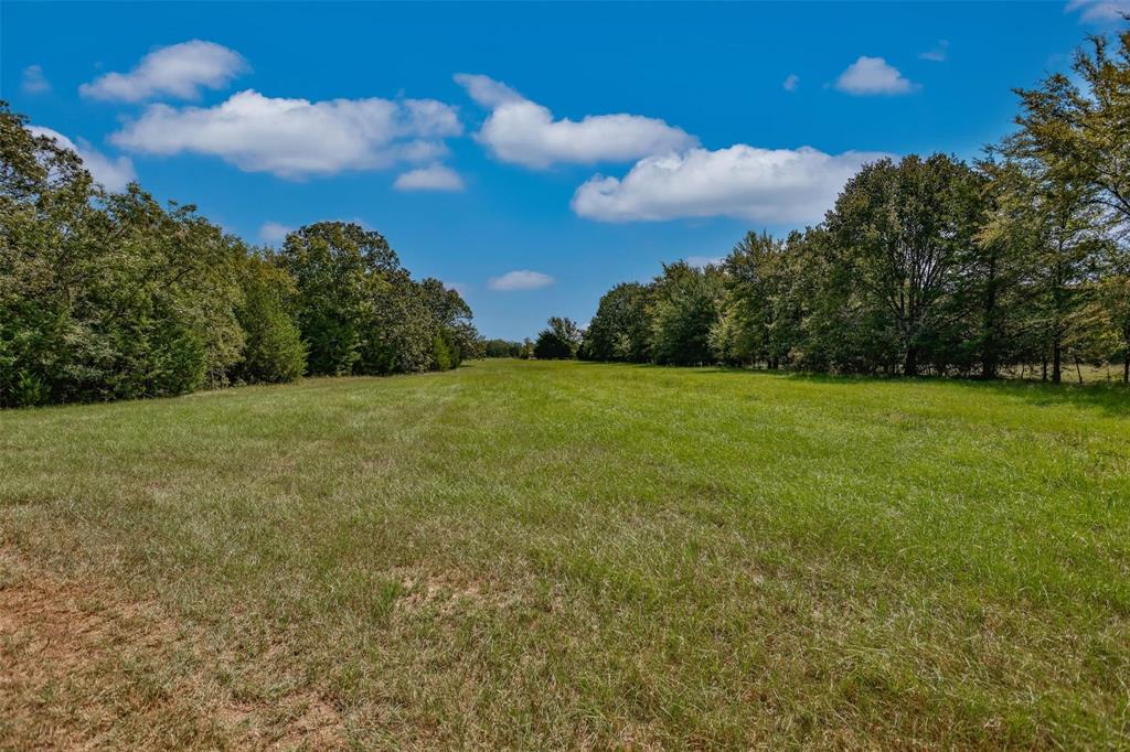240 Magnolia Property Photo 14