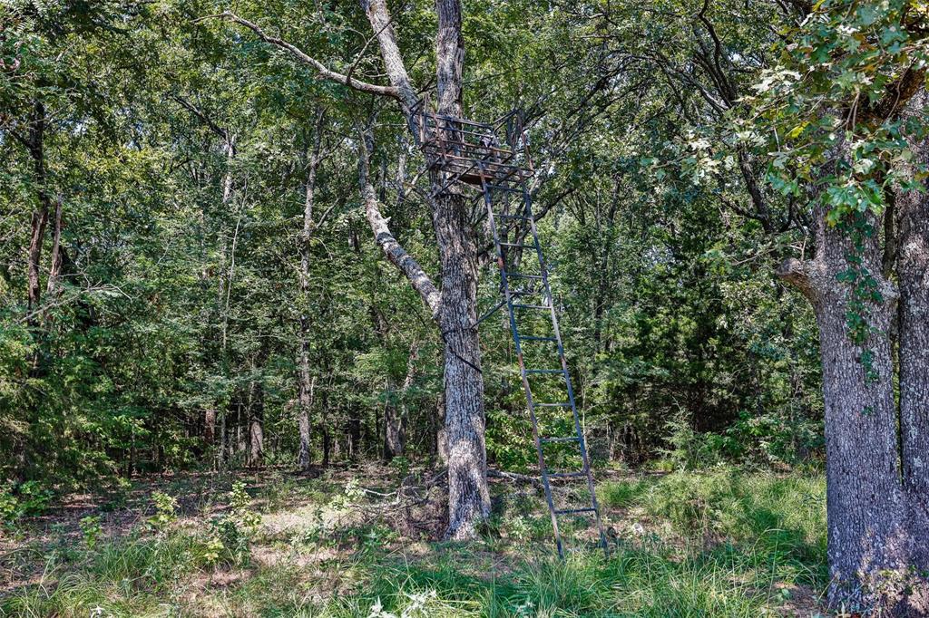240 Magnolia Property Photo 16