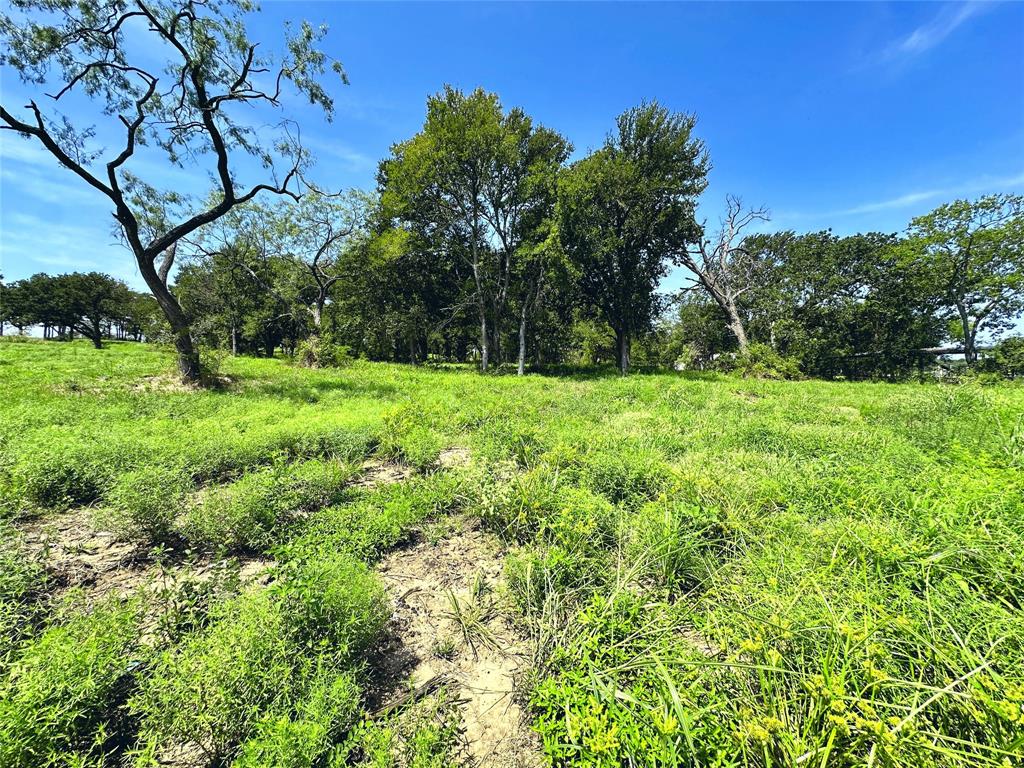 Lot 6 Carmel Valley Property Photo 13