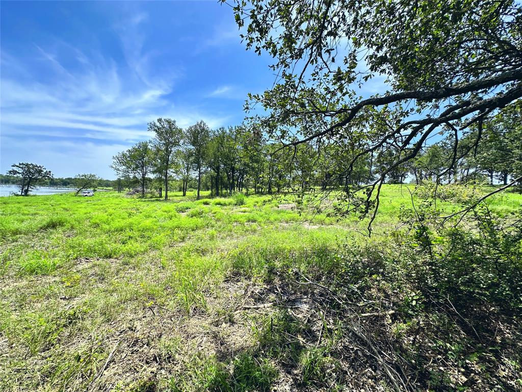 Lot 6 Carmel Valley Property Photo 14