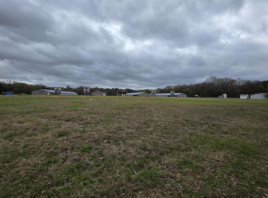 1886 Opossum Rd Property Photo 16