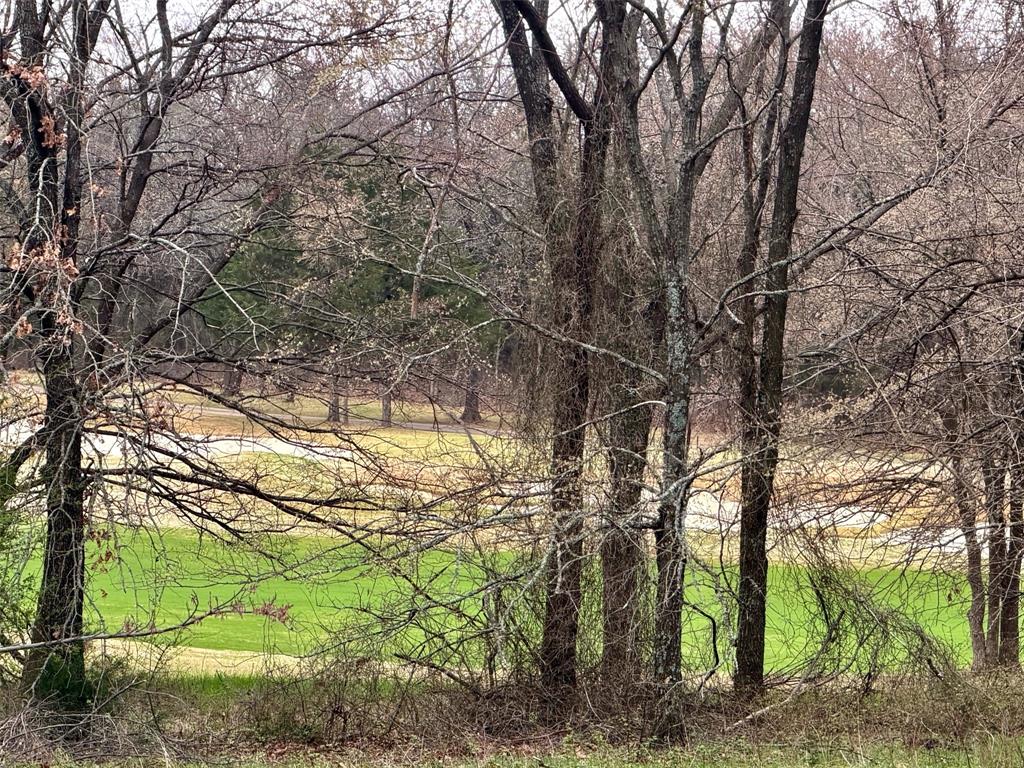 126 Roaring Fork Circle Property Photo 4