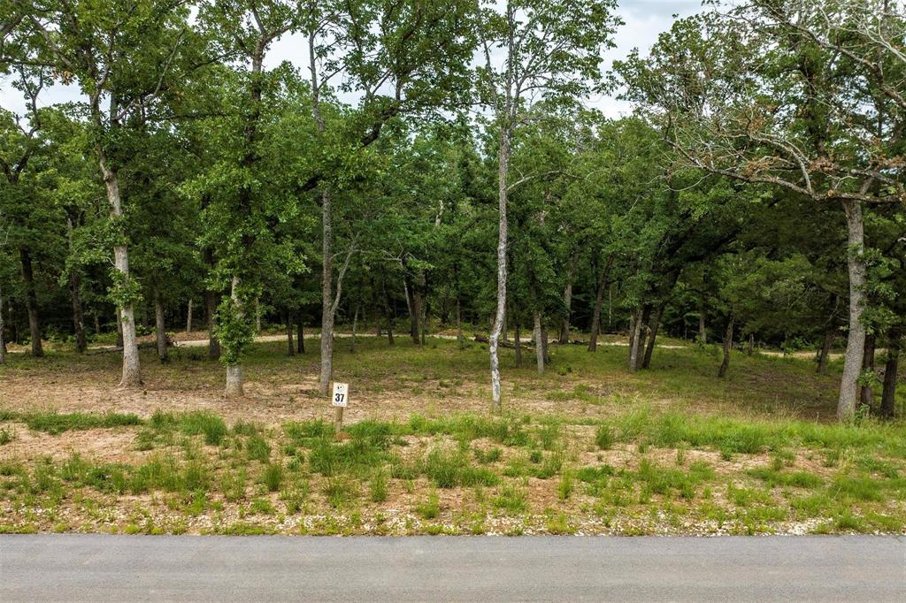 7004 Lakeshore Way Property Photo 13