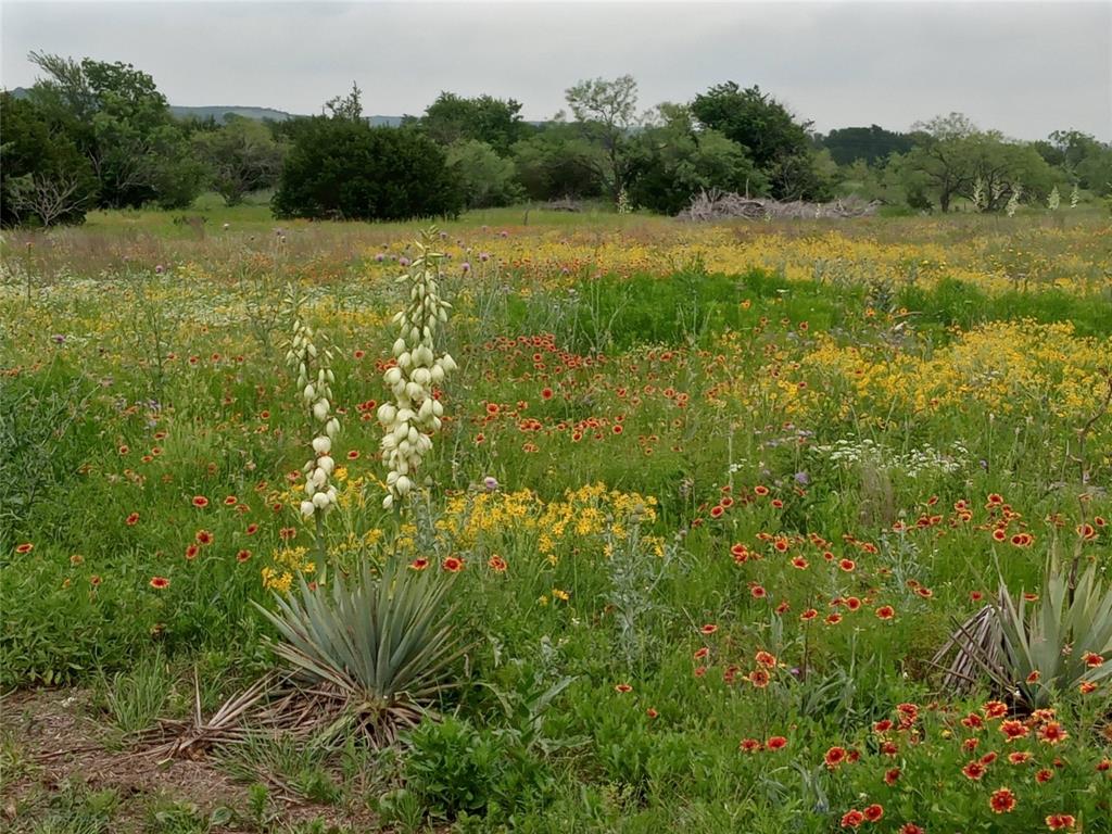 Tbd County Road 2550 Property Photo 4