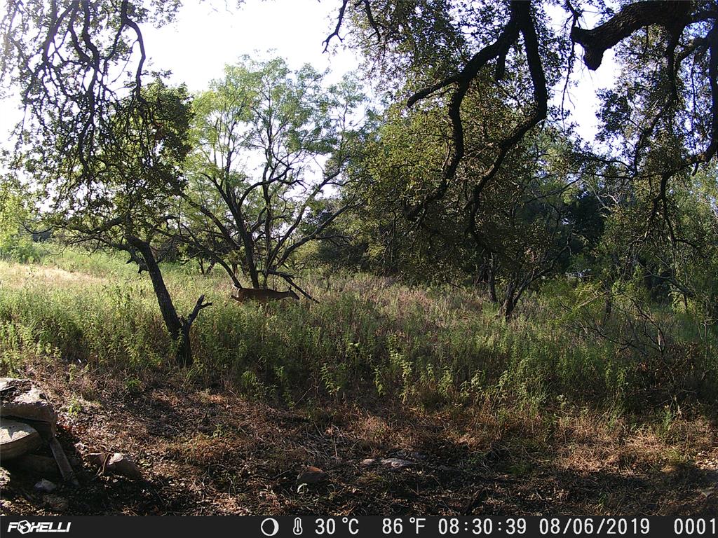 Tbd County Road 2550 Property Photo 7
